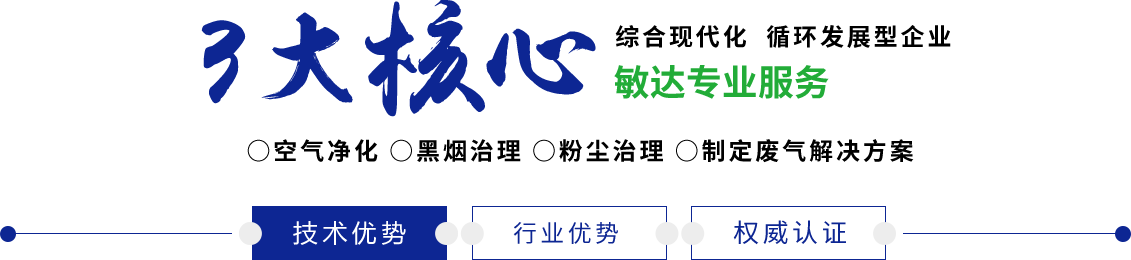 大鸡吧一边说脏话操骚逼一边说操死你大骚逼刺激视频敏达环保科技（嘉兴）有限公司